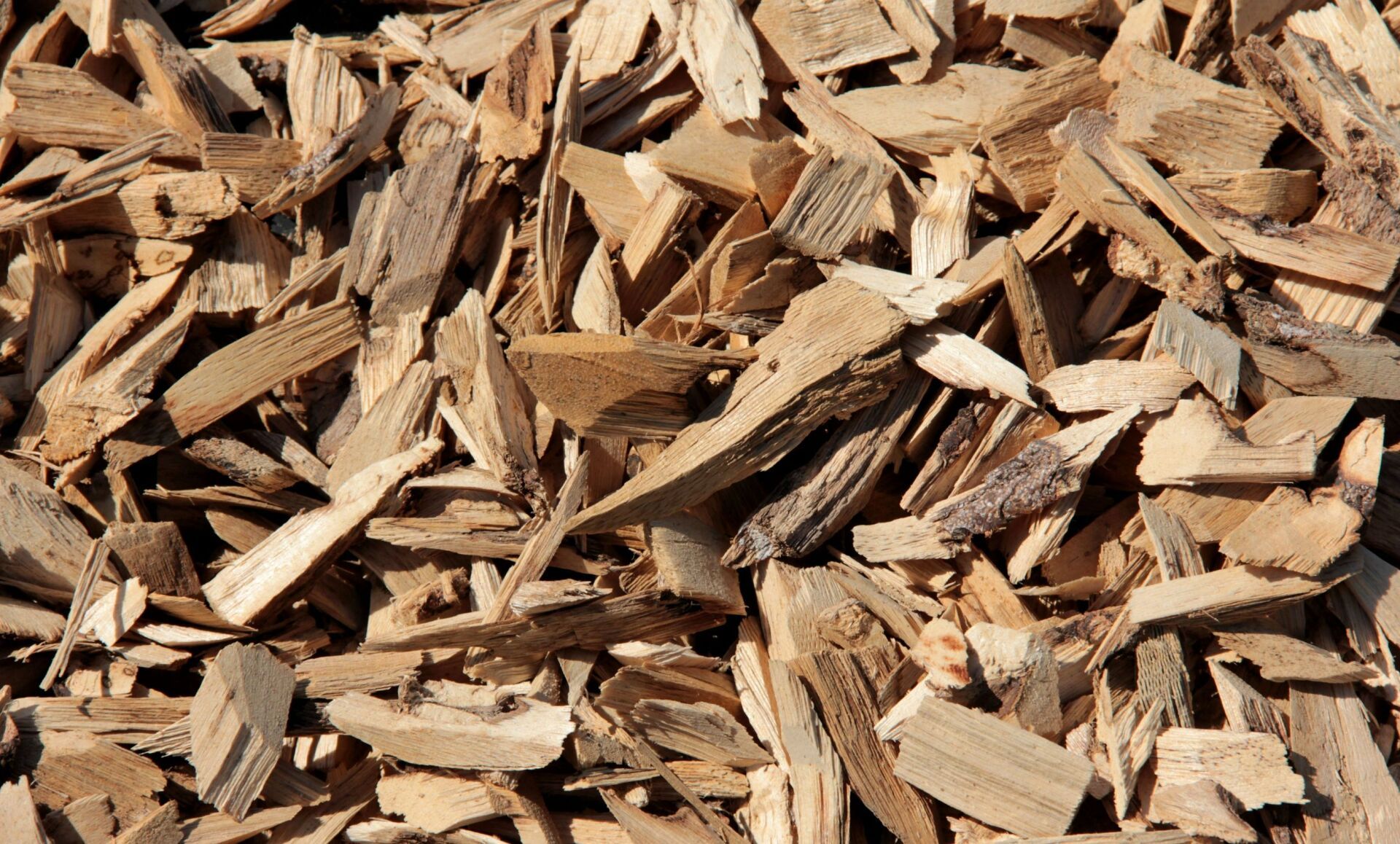 A pile of wood chips is sitting on the ground.