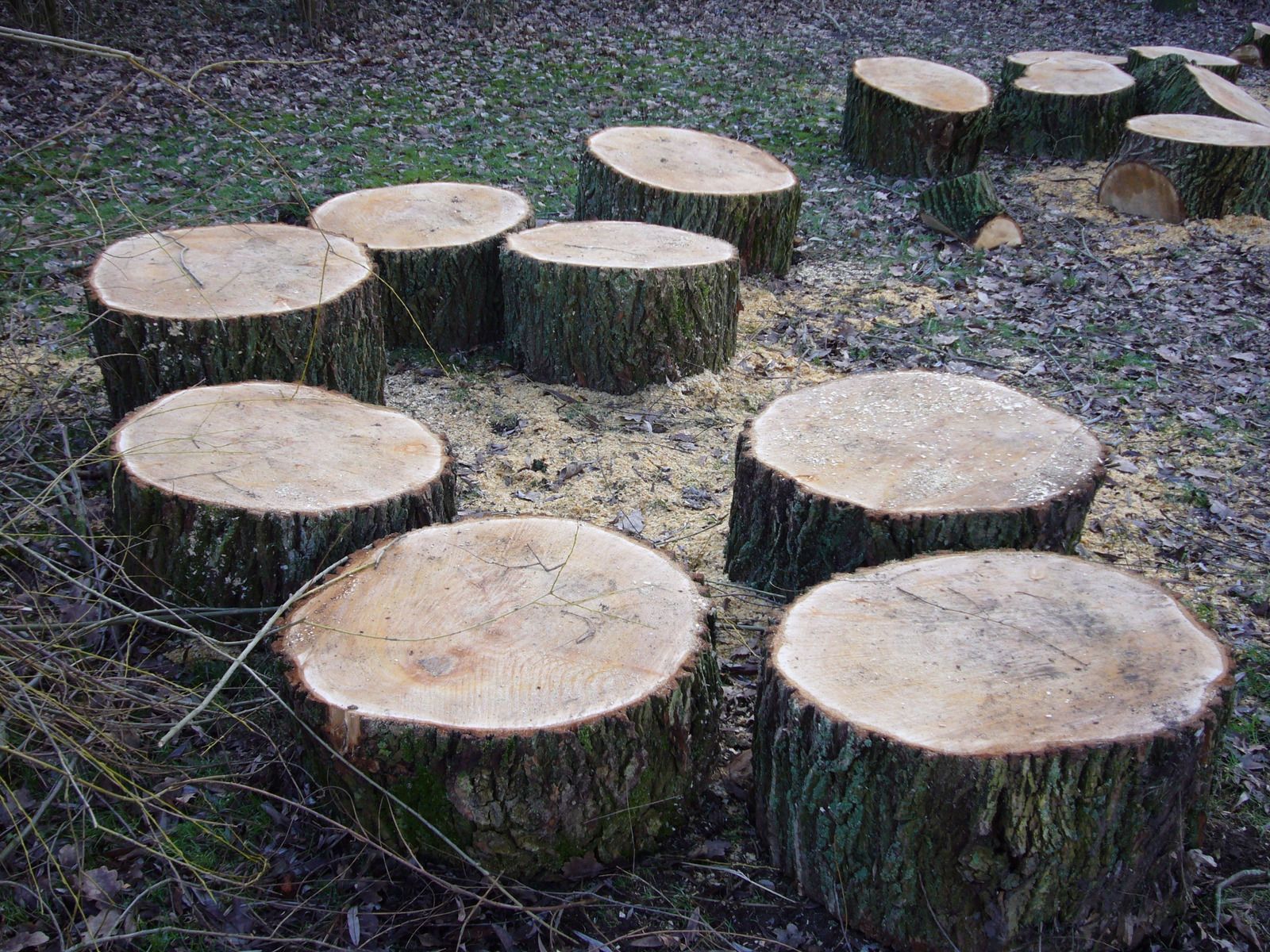 A group of logs sitting on top of each other on the ground.