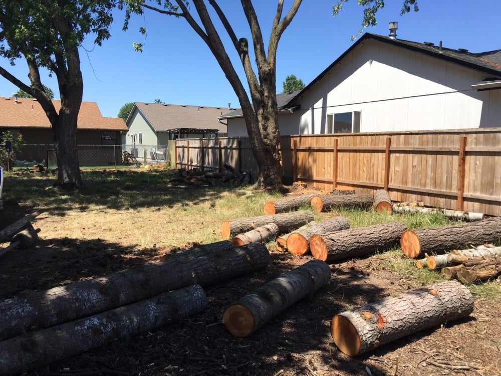 A pile of logs in a yard with a house in the background