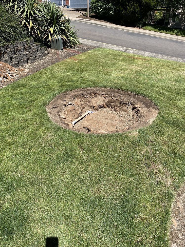A hole in the middle of a lush green lawn next to a road.