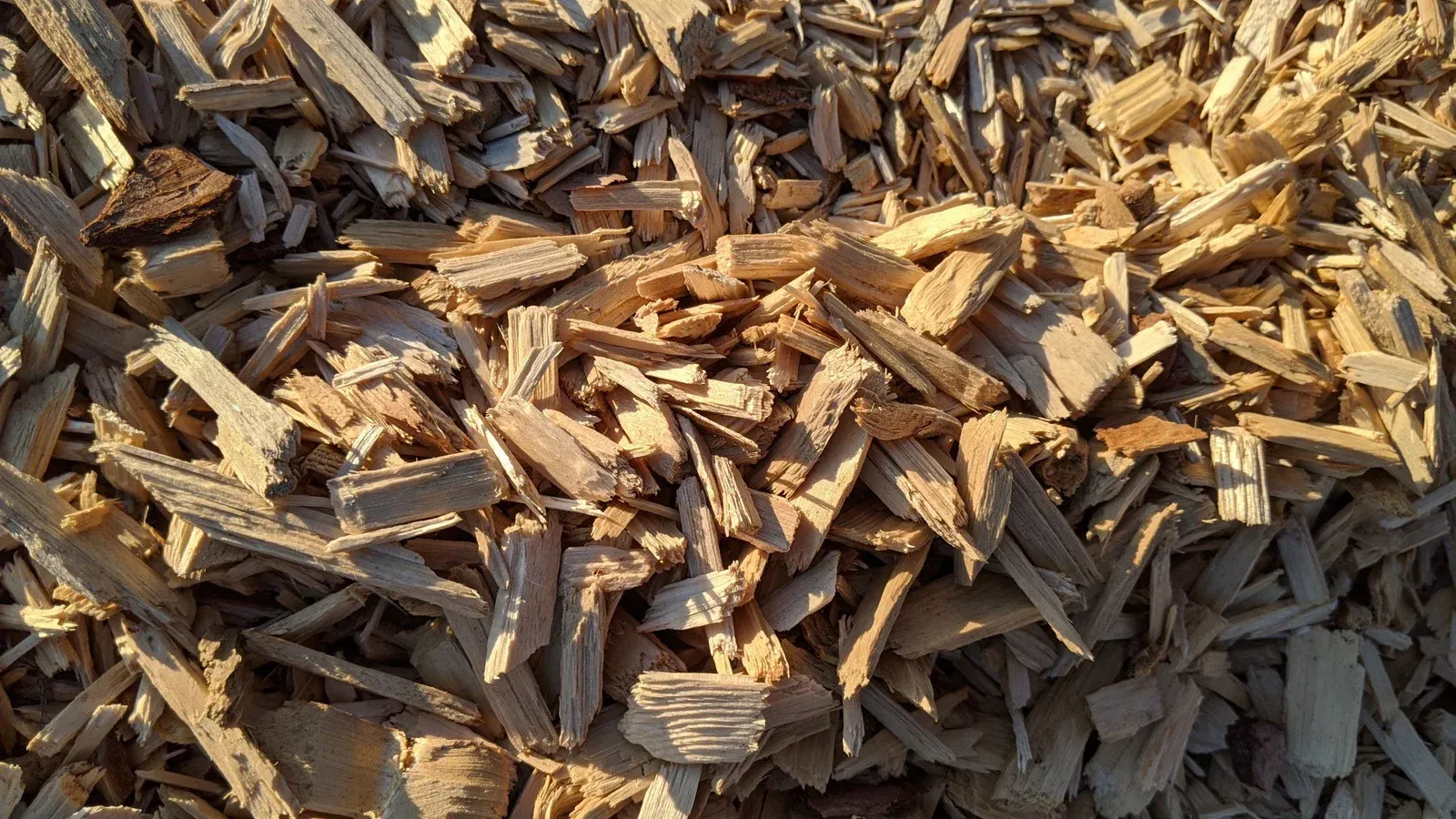 A pile of wood chips is sitting on the ground.