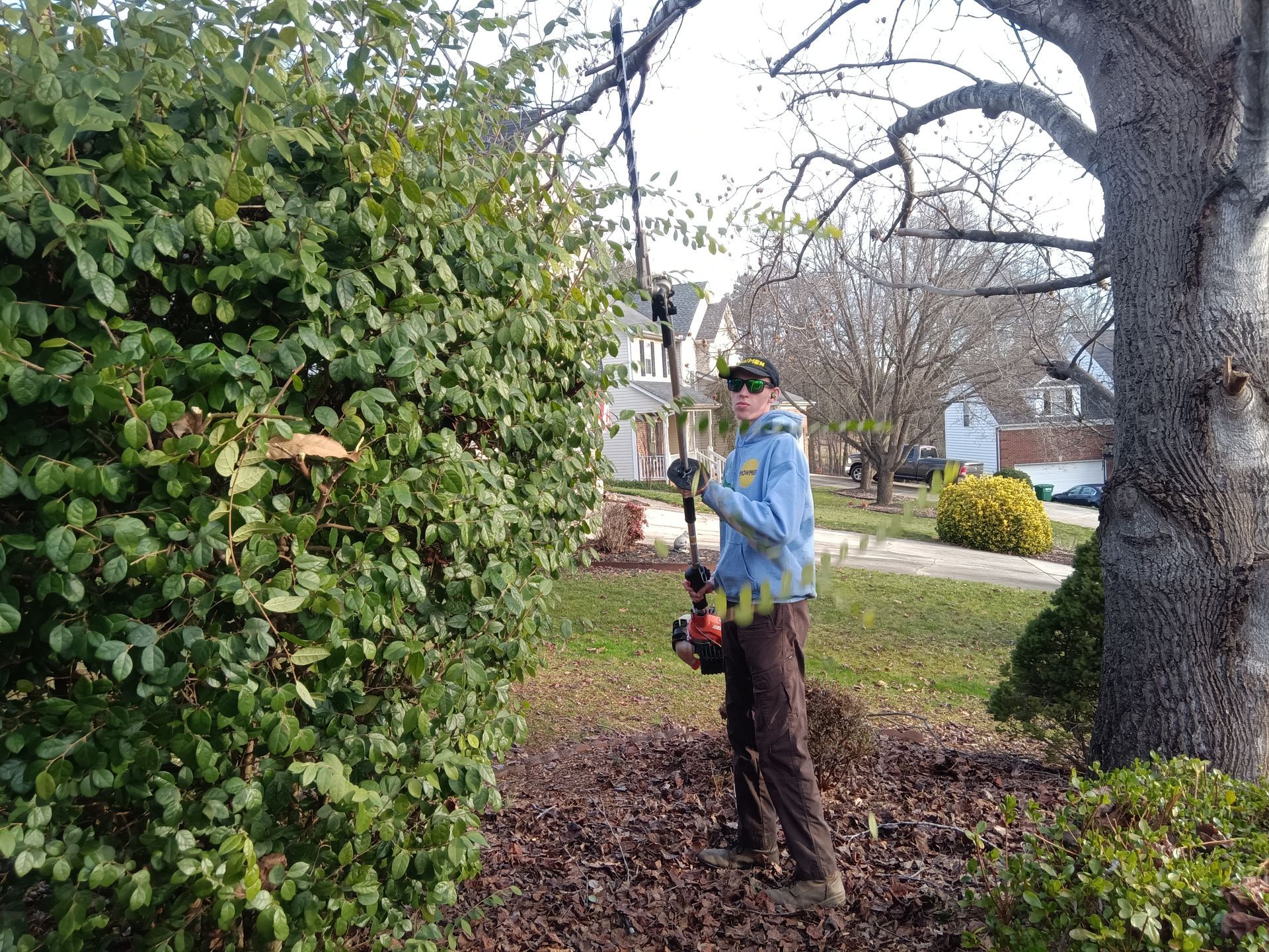 a man is cutting a bush with a hedge trimmer in a park .