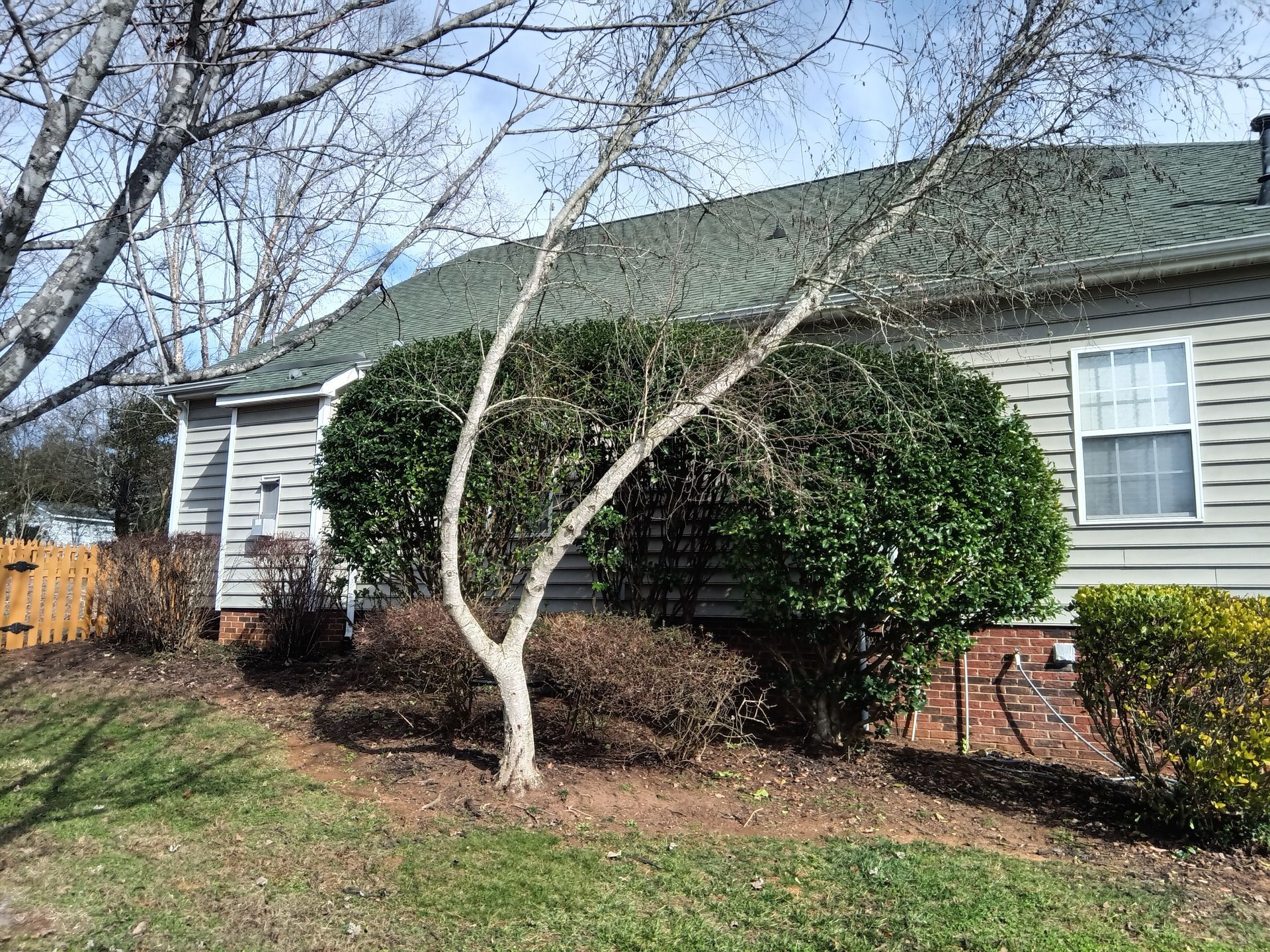 a house with a green roof and a lot of bushes in front of it .