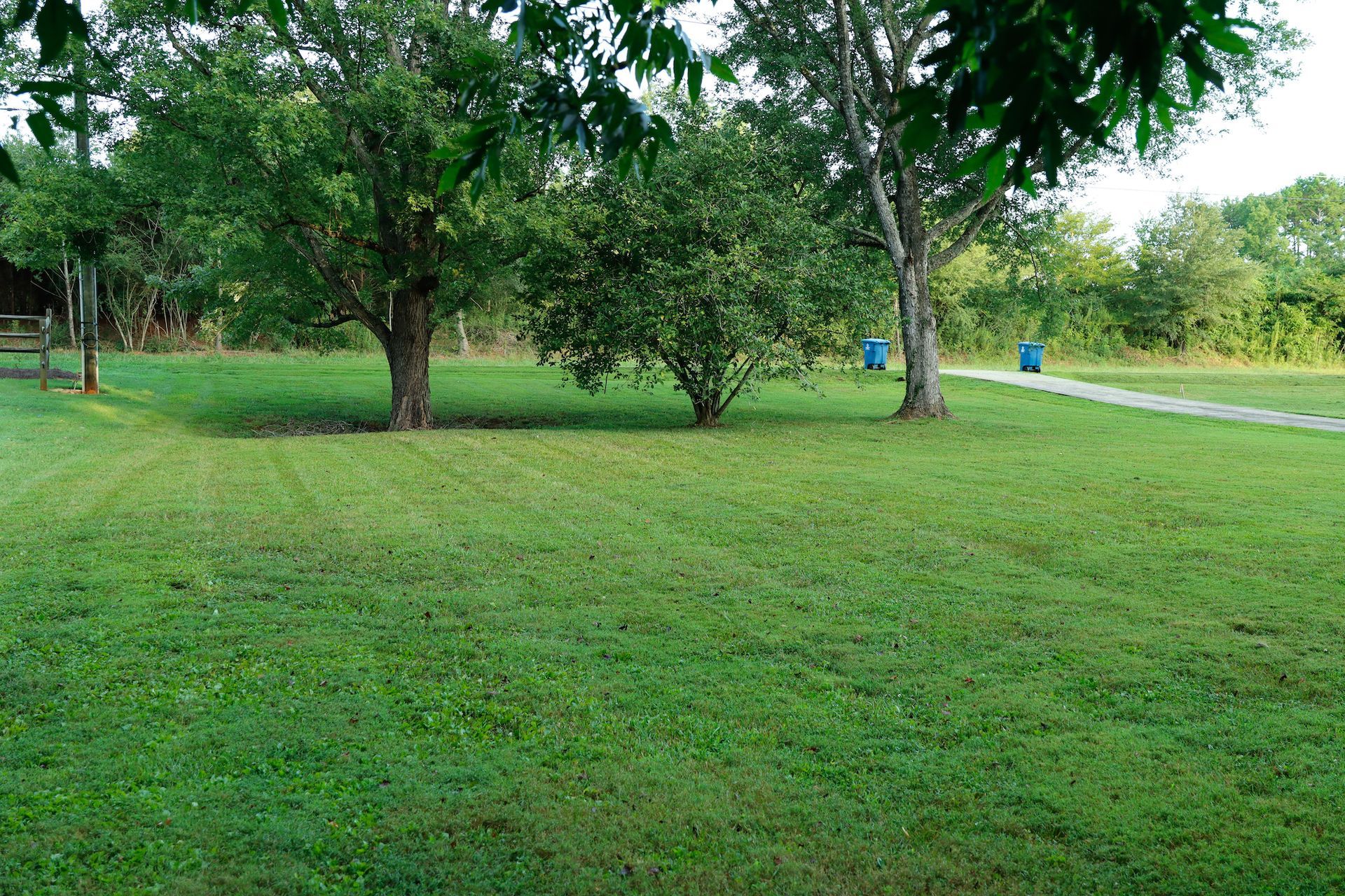 employee edging the grass near a residential street