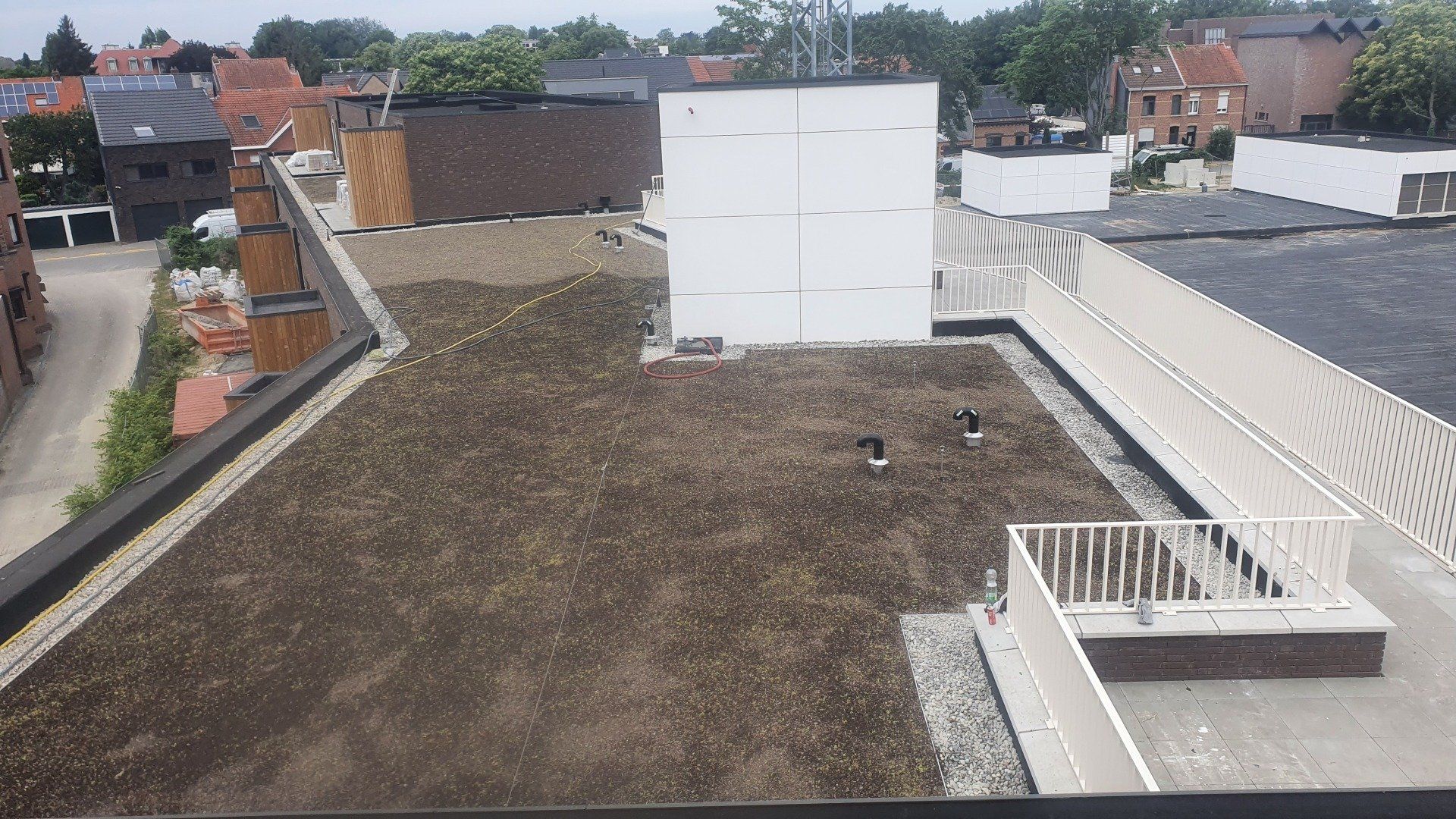 GROENDAK MET SEDUMSTEKKEN