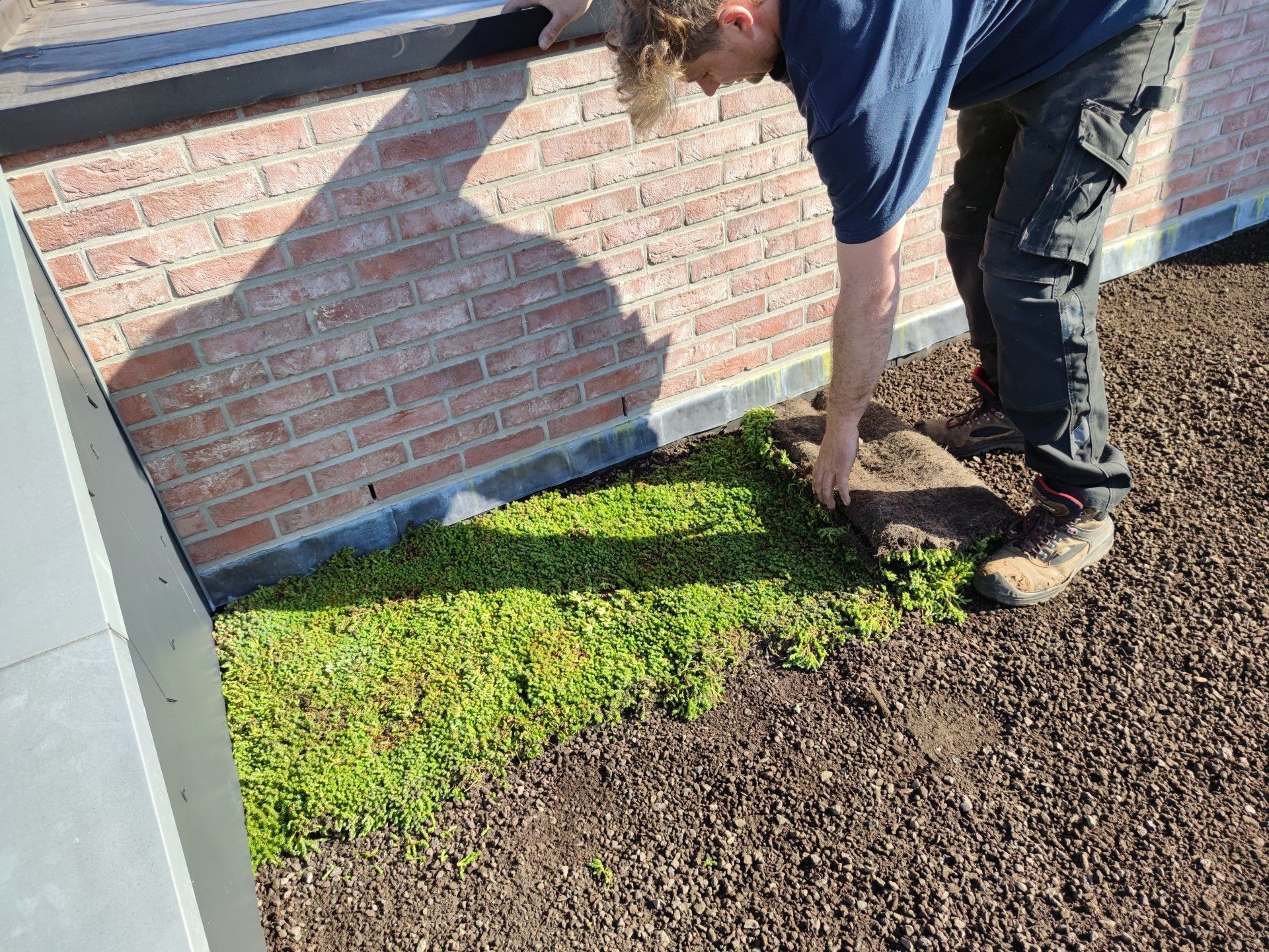 aanleg groendak met sedummatten