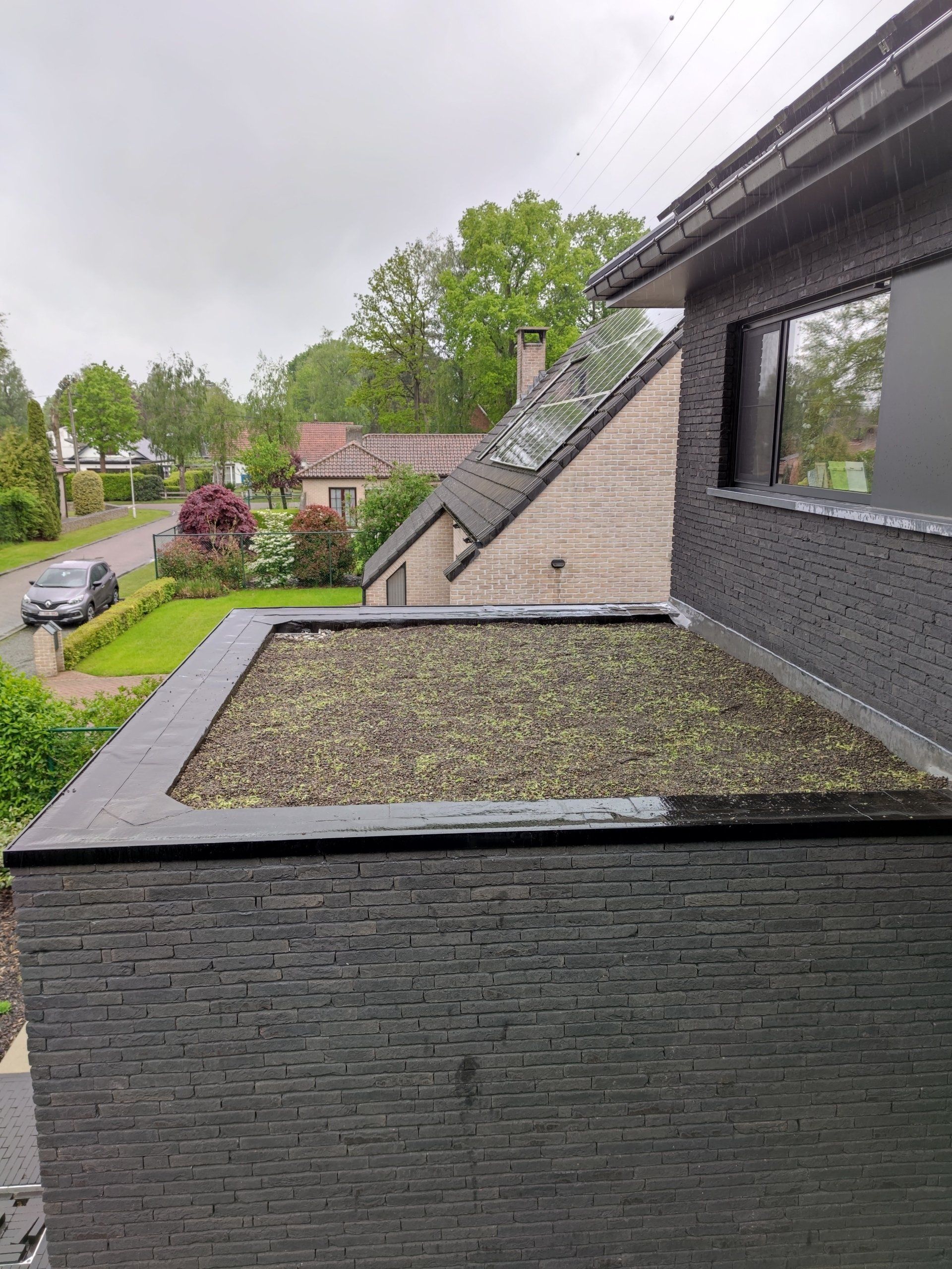 plat dak met daktuinsubstraat en ingezaaid met sedumstekken.