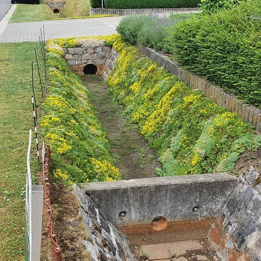 gracht aangelegd met sedummatten. Service