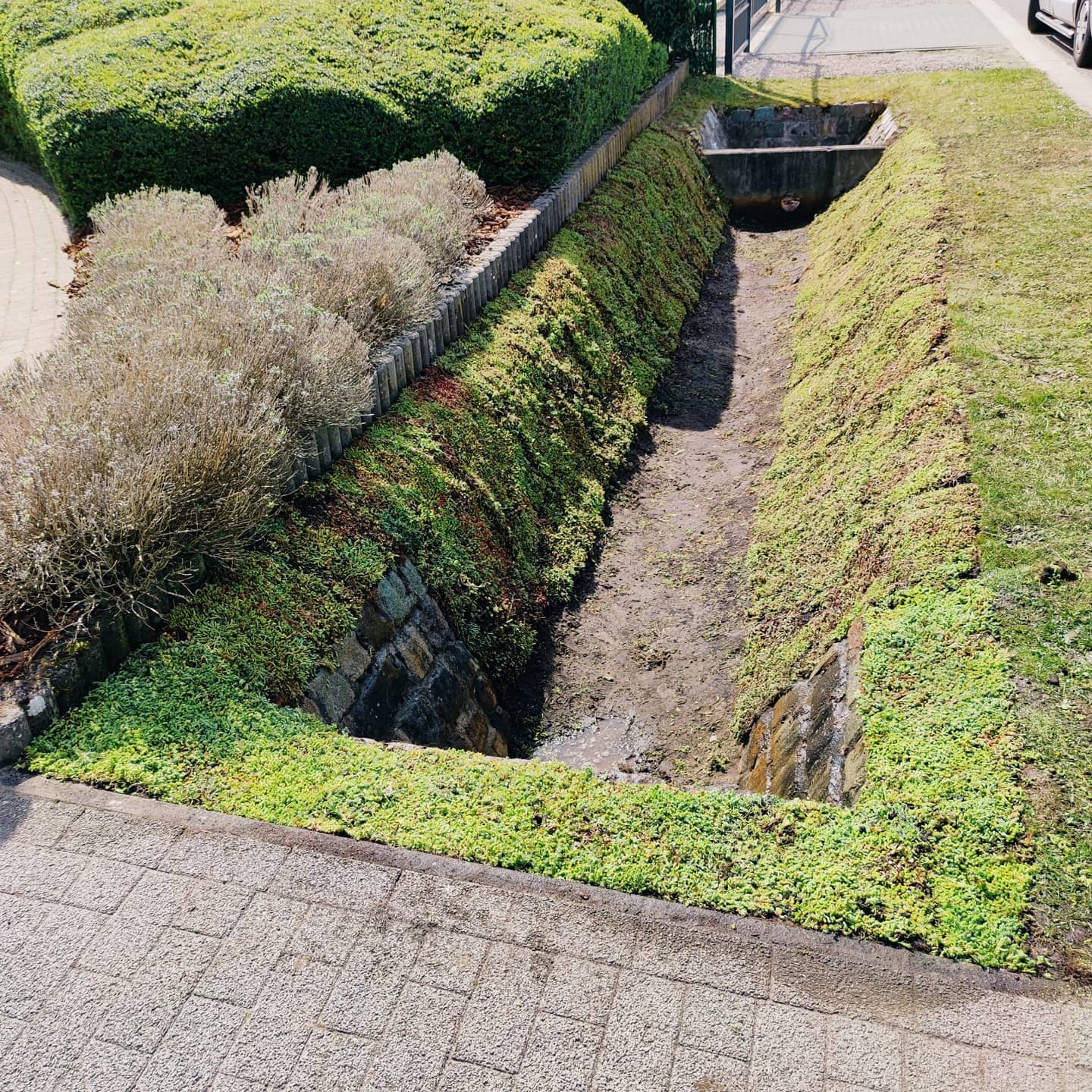 gracht sedummatten aanleggen