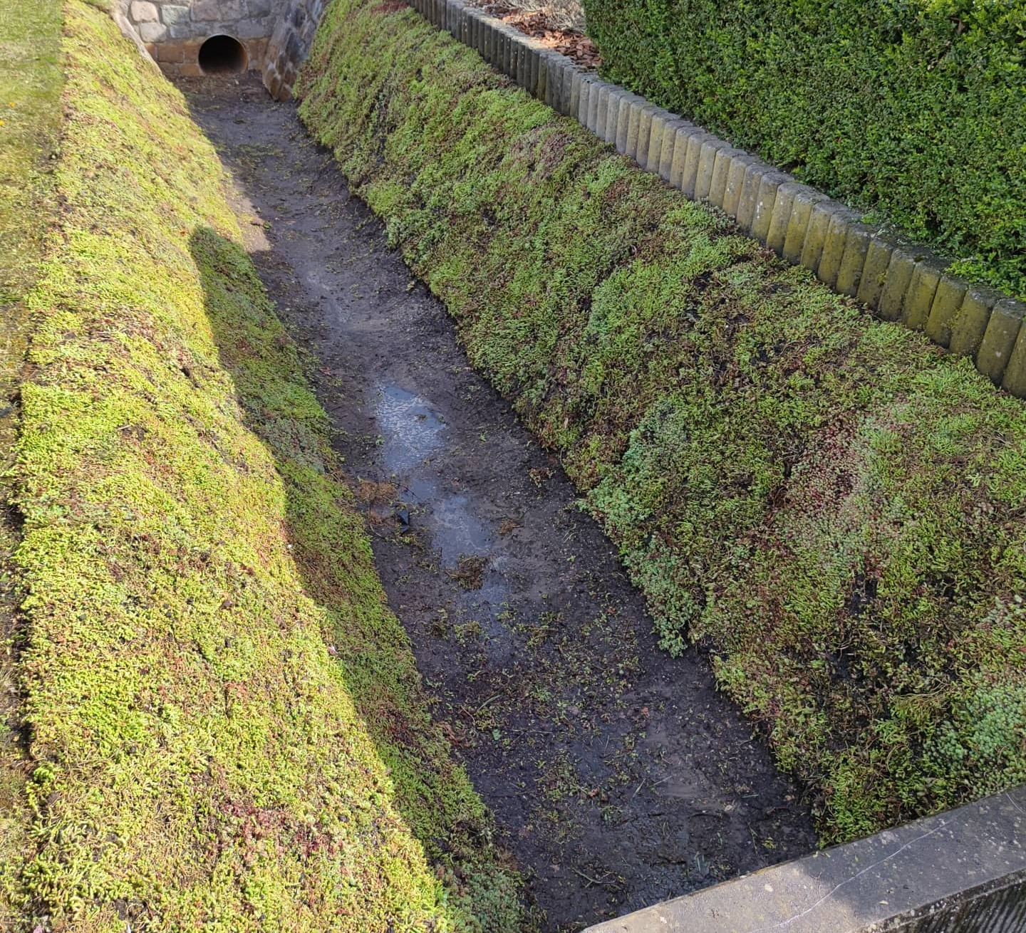 gracht bekleden met sedummatten