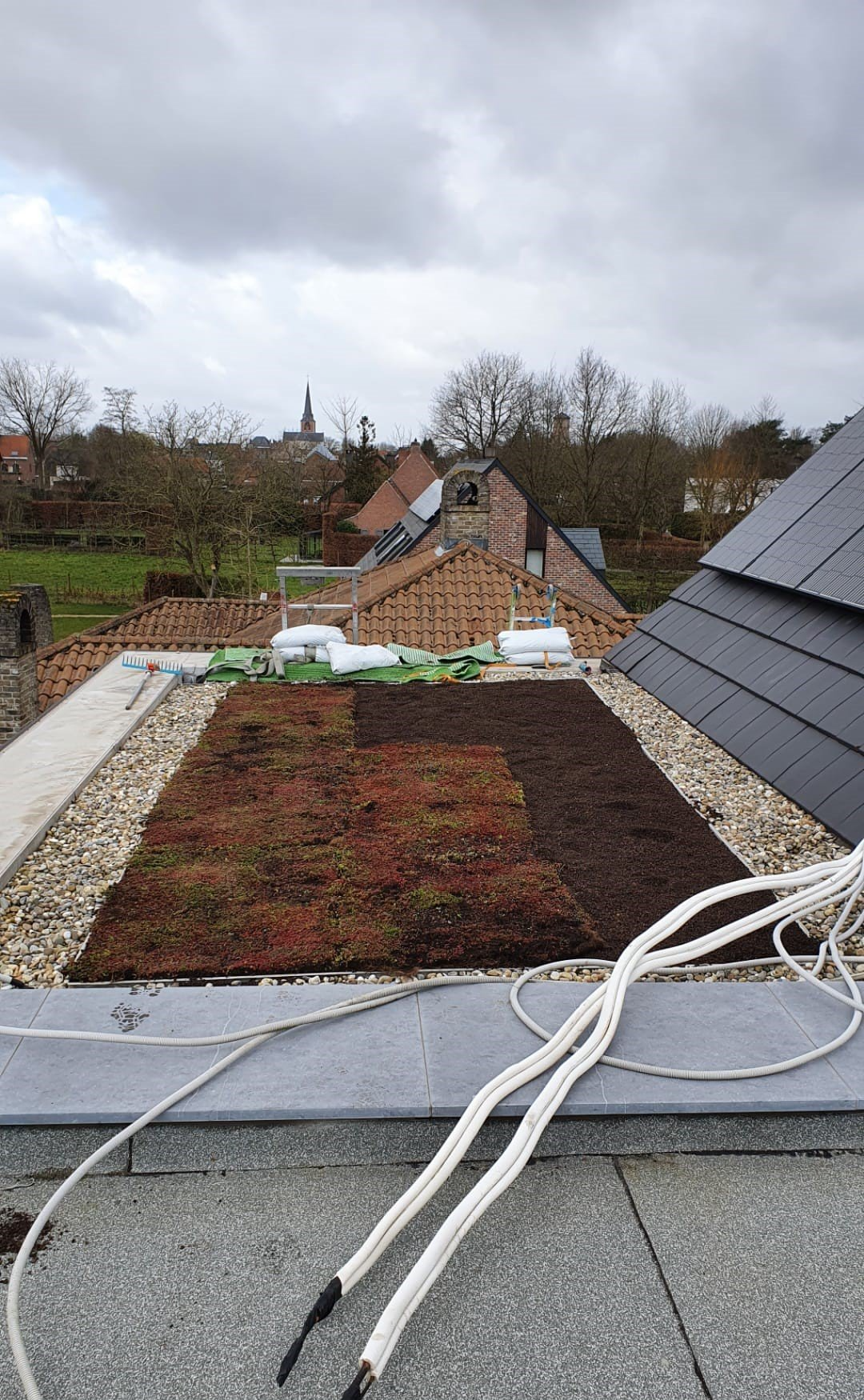 Aanleg sedummatten groendak