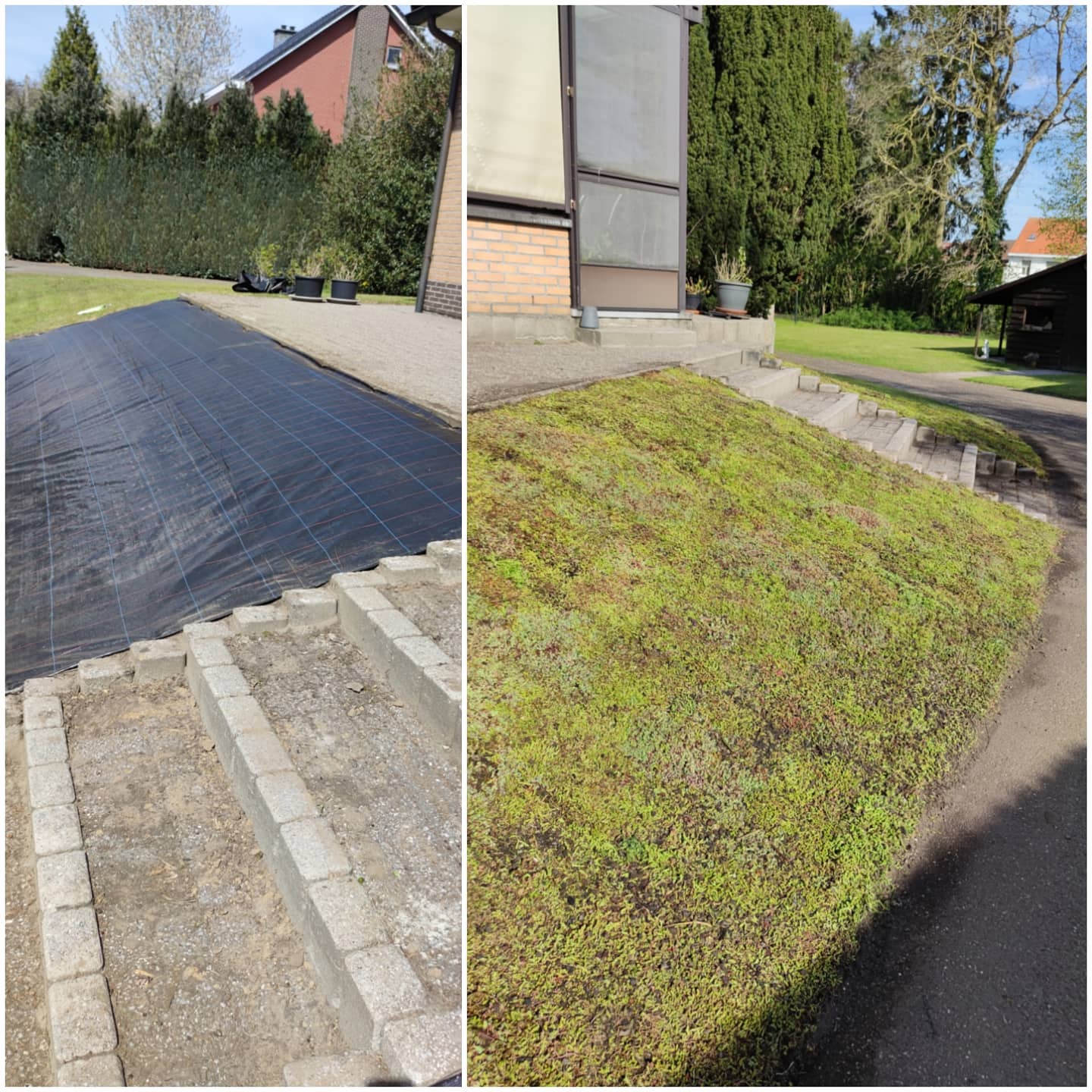 talud bekleden met sedummatten