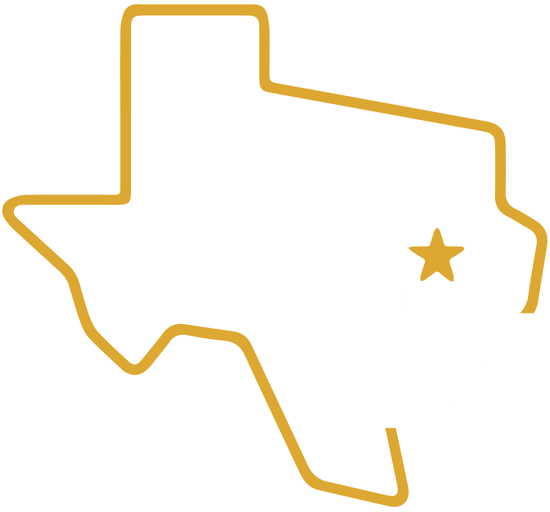 Light Logo