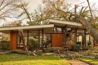 House with tree fallen on roof. Brown and glass facade, green lawn, cloudy sky.