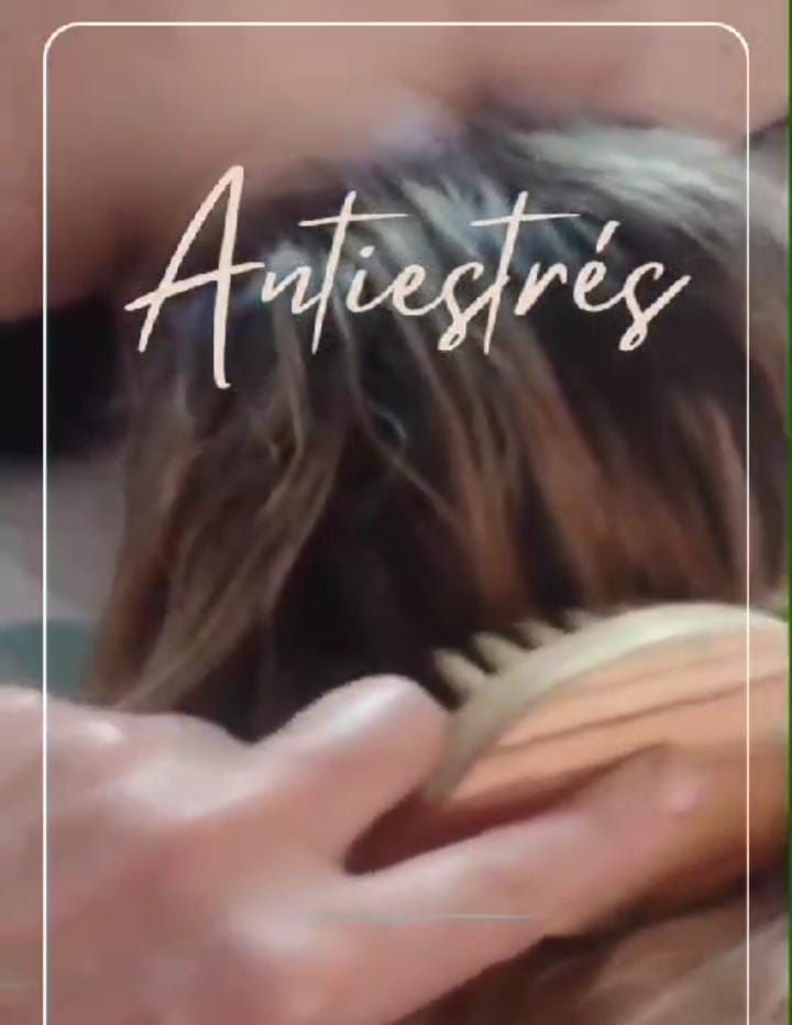 Cepillos masajeadores línea Tsuge