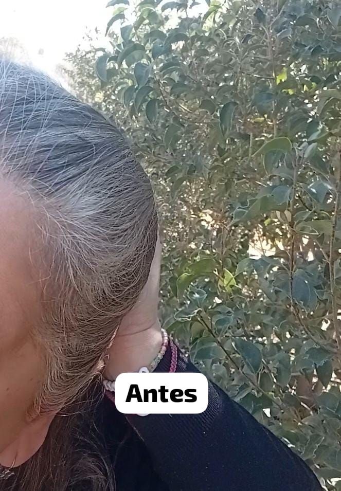 Henna, tintura natural. 50 grs