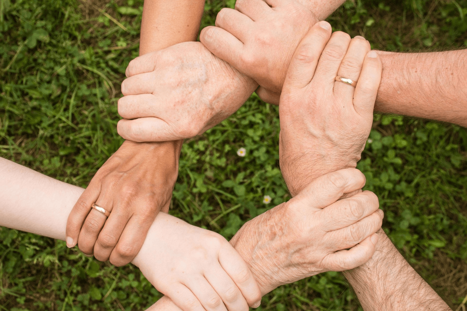 Charitable Trusts & Not-for-profits