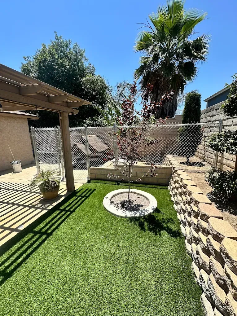 Backyard with artificial grass, a tree, a pergola, and stone retaining wall on a sunny day.