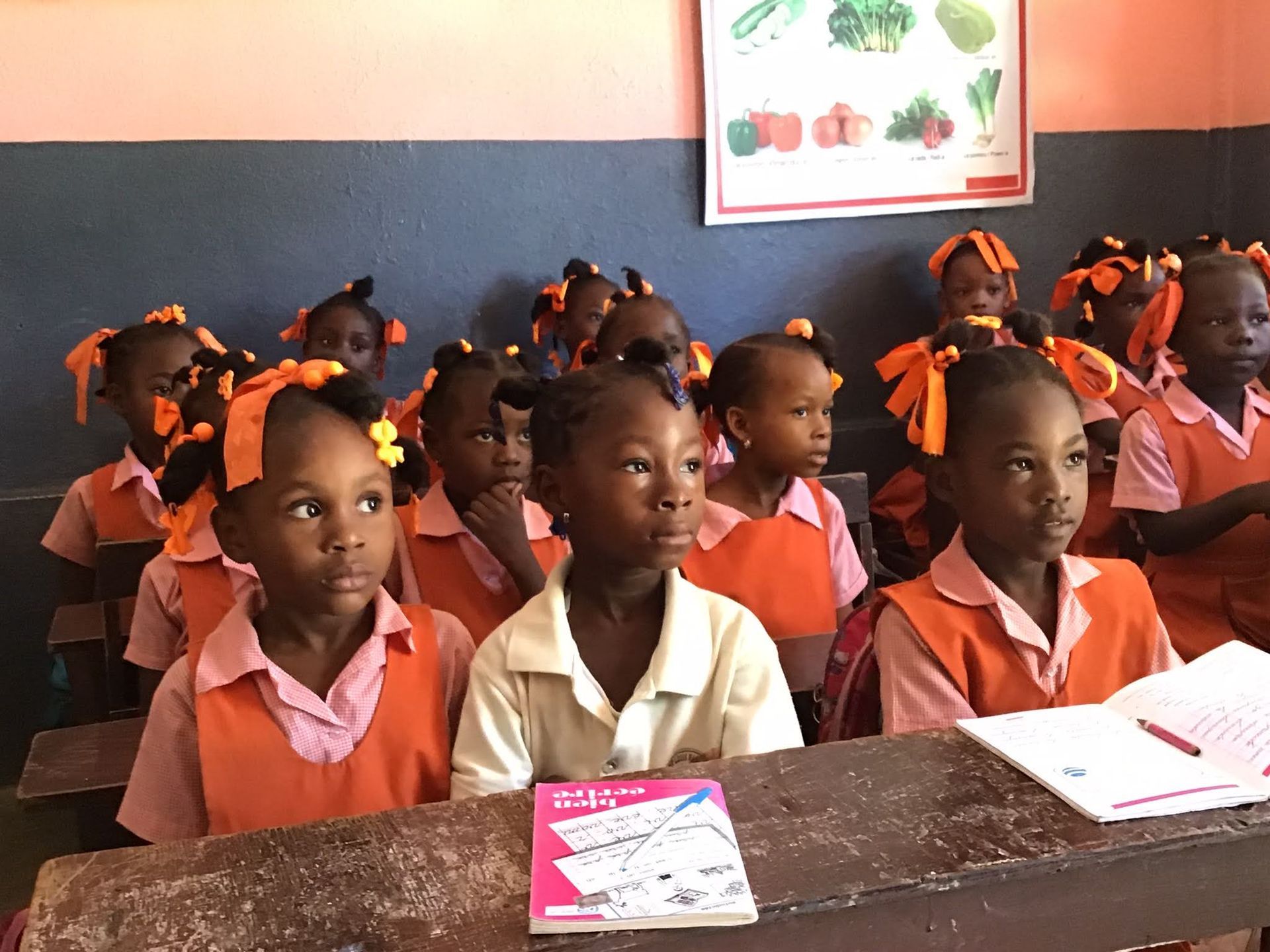 Haitian Homes for Haitian Children Inc logo