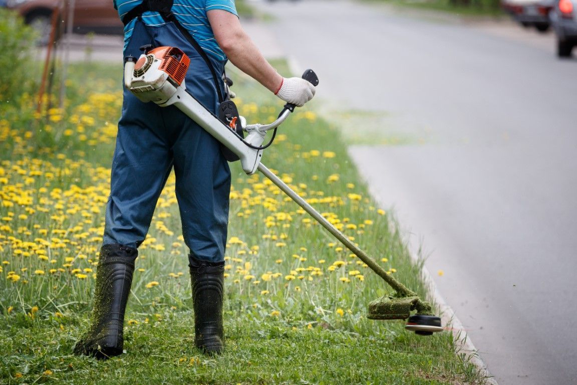 Castro Valley contractor emptying grass clippings from a lawnmower into a wheelbarrow in lawn.