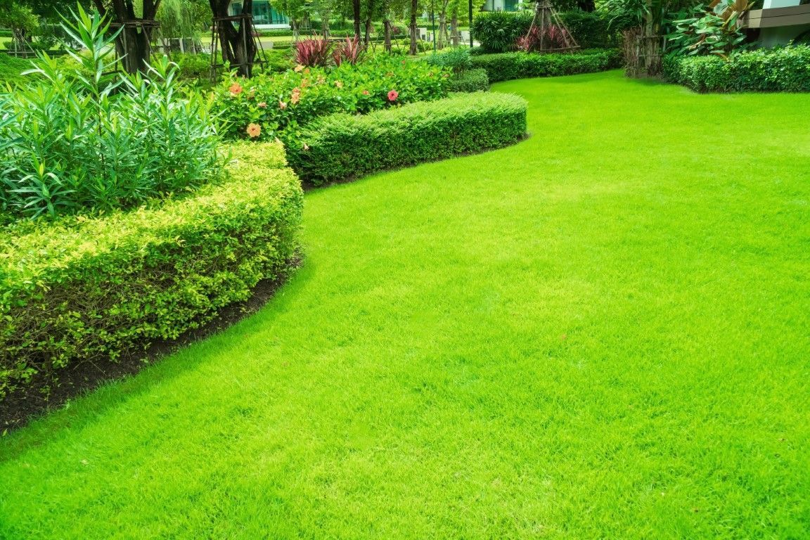 Well-manicured green lawn with hedges and flowerbeds.