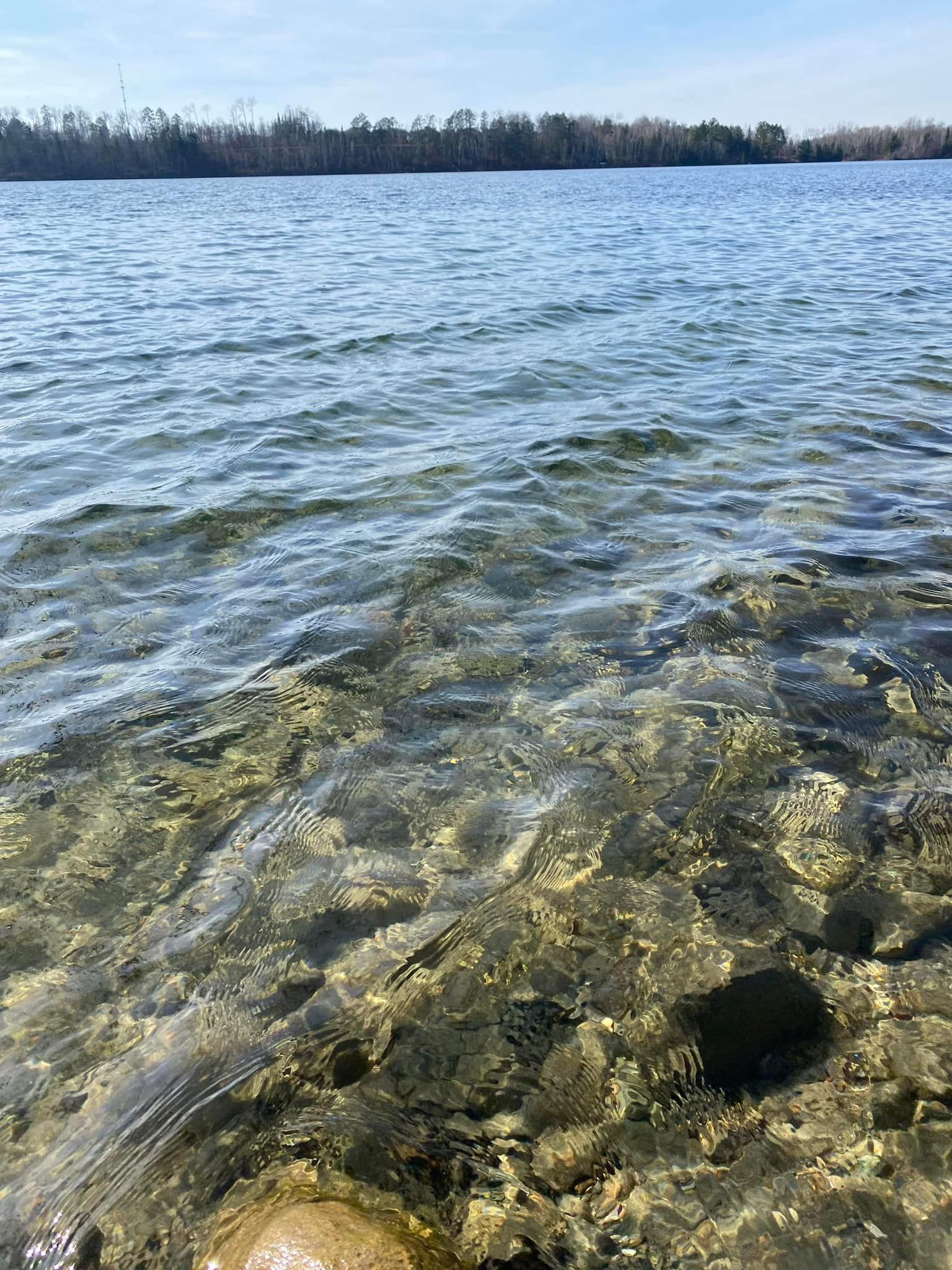 A close up of a lake with a rock in the water.