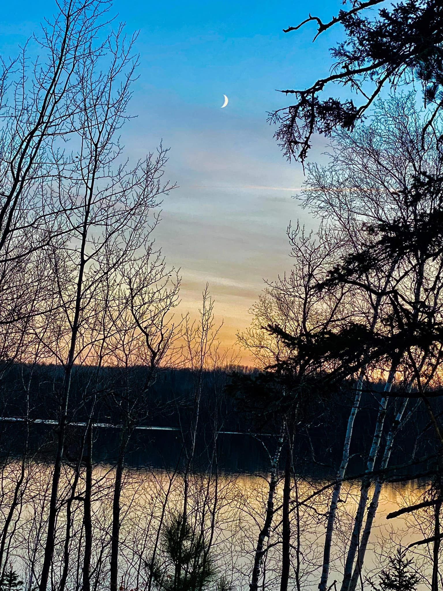 A sunset over a lake with trees in the foreground and a crescent moon in the sky.