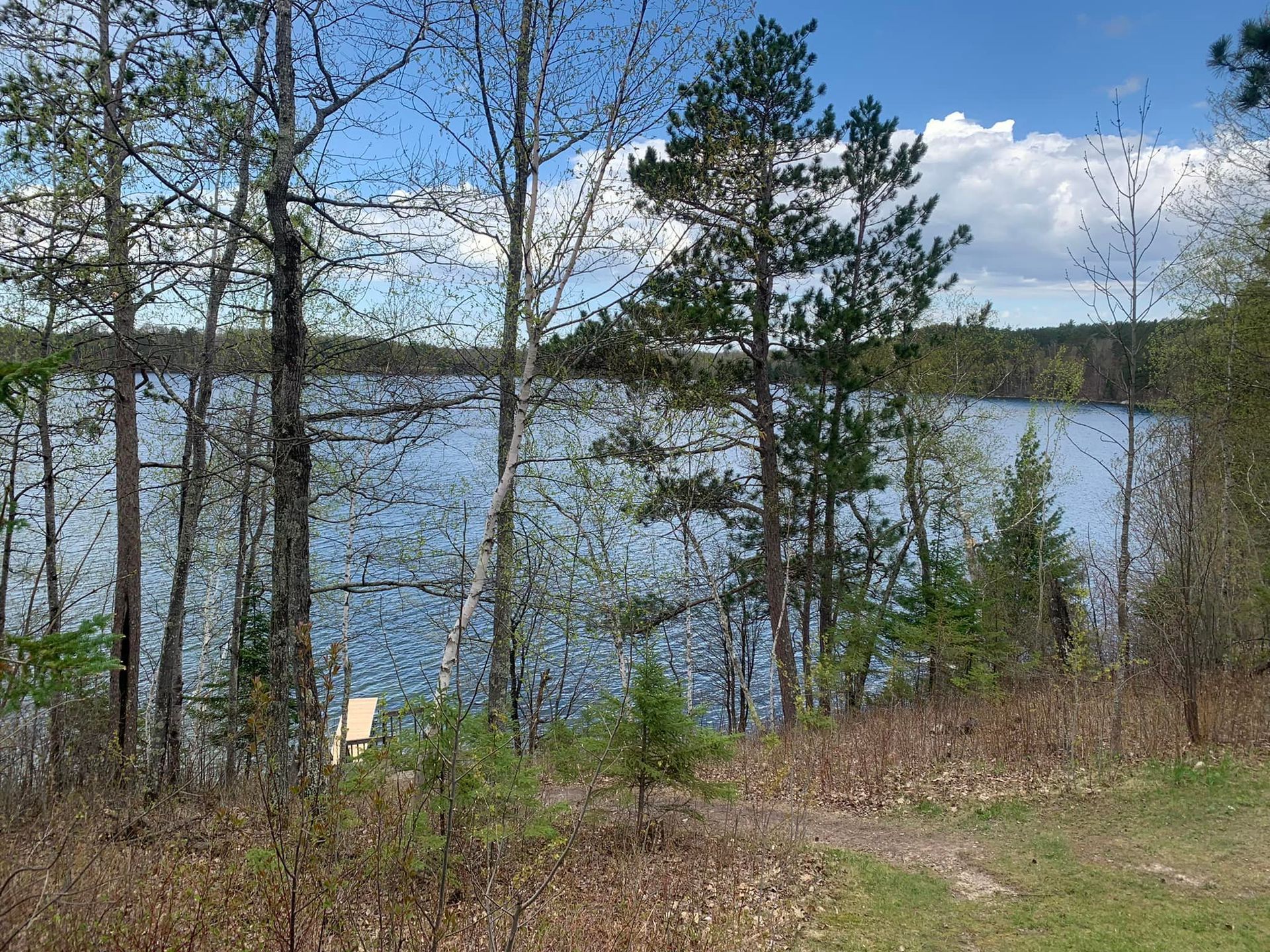A lake surrounded by trees on a sunny day
