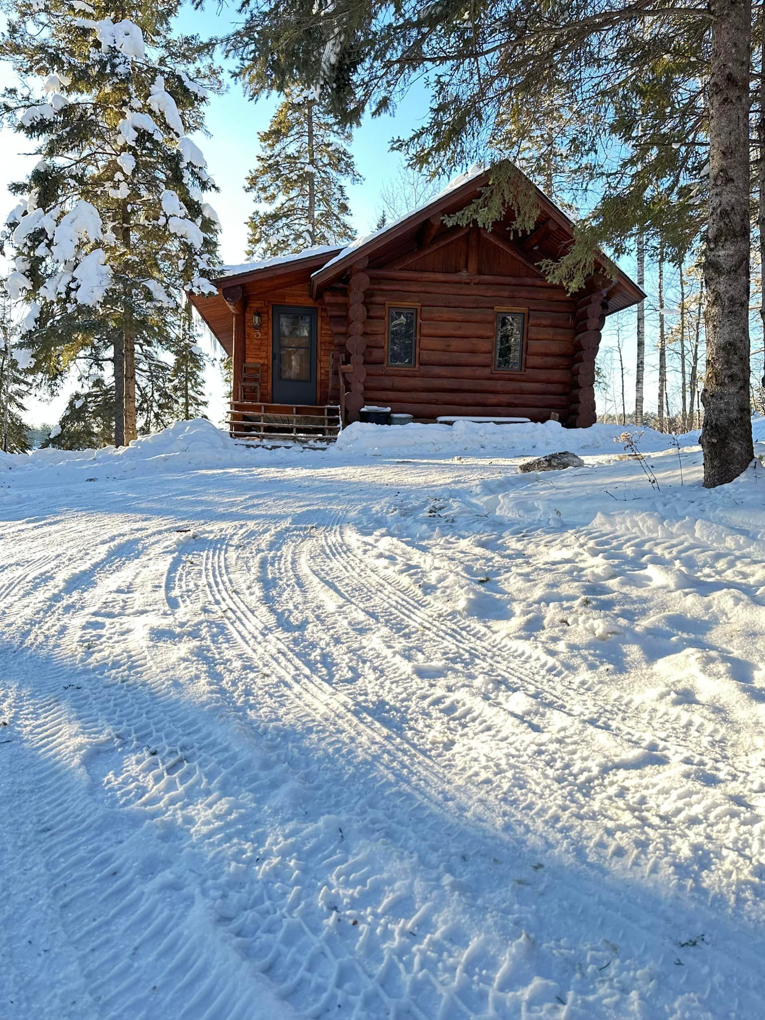 A log cabin is sitting in the middle of a snowy forest.