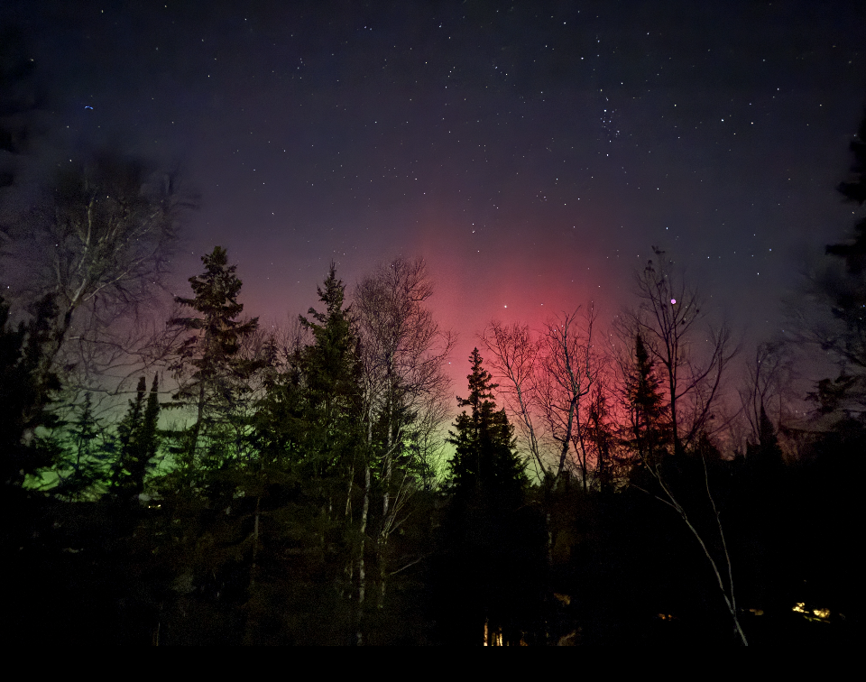 The aurora borealis is visible in the night sky over a forest