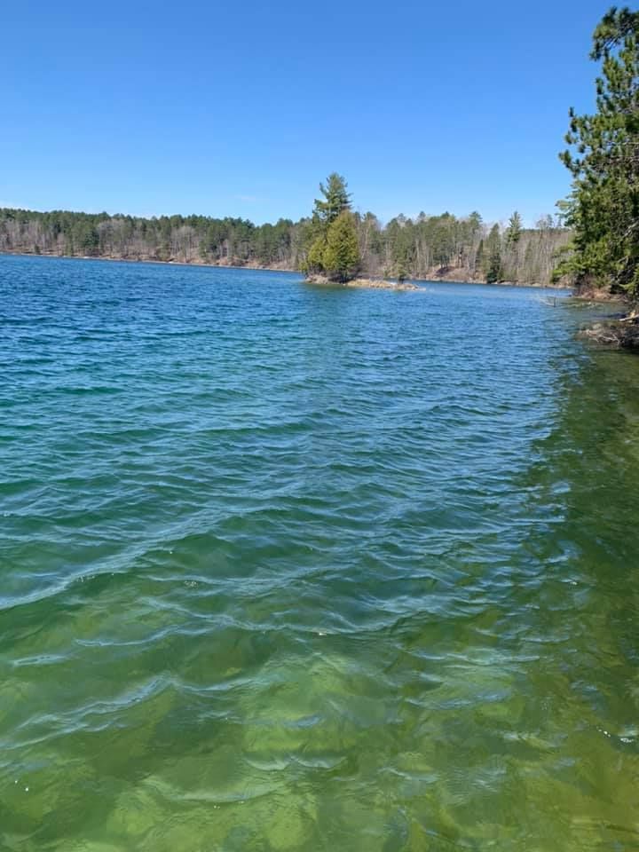 A large body of water surrounded by trees on a sunny day.