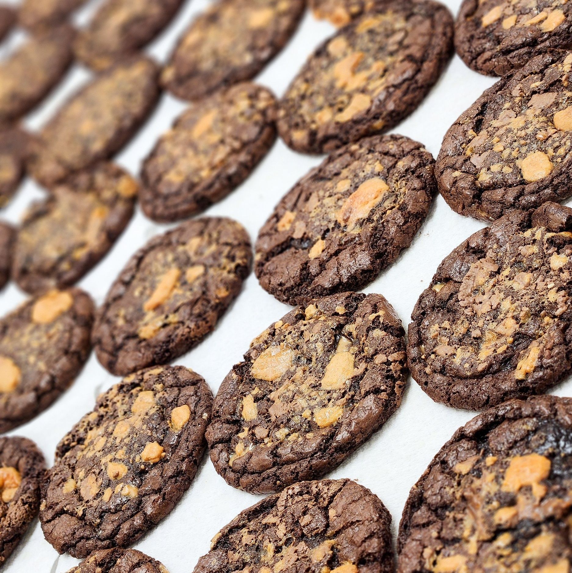A bunch of chocolate cookies are lined up on a white surface.
