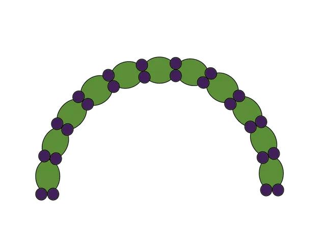 A green and purple balloon arch on a white background.