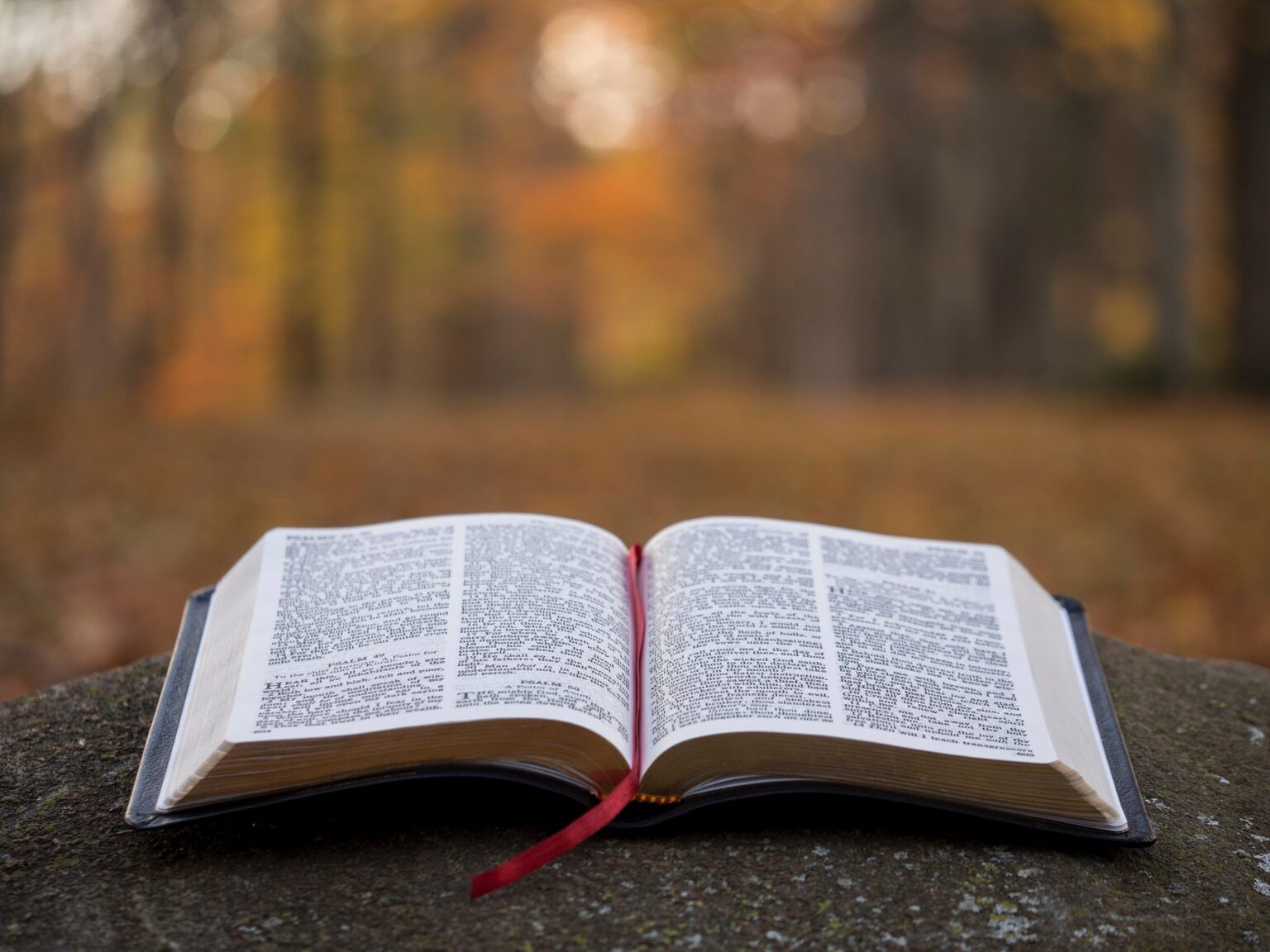 An open bible is sitting on top of a rock.