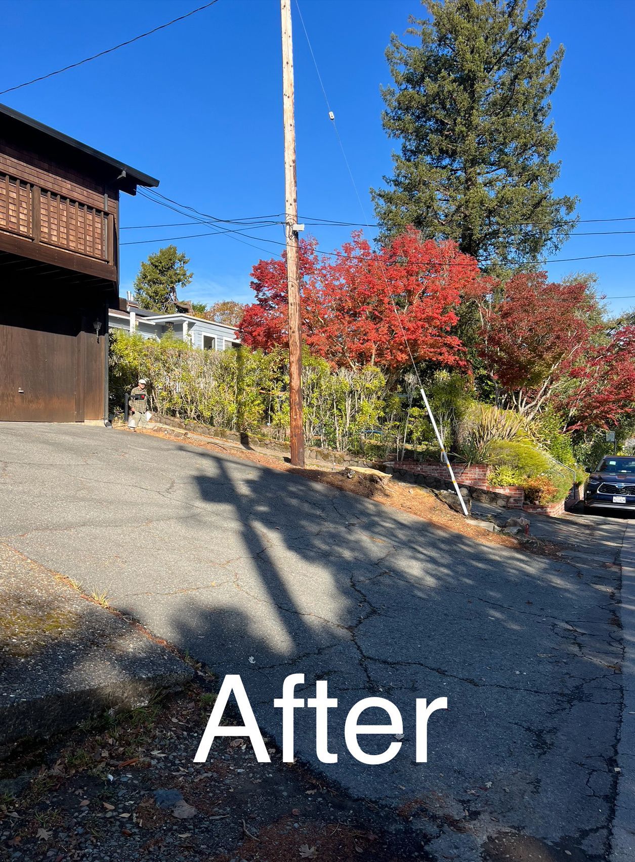 A car is parked on the side of the road in front of a house.