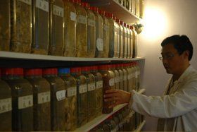 Herbal medicine - Brighton, East Sussex - Chinese Medicine Centre - Medicine