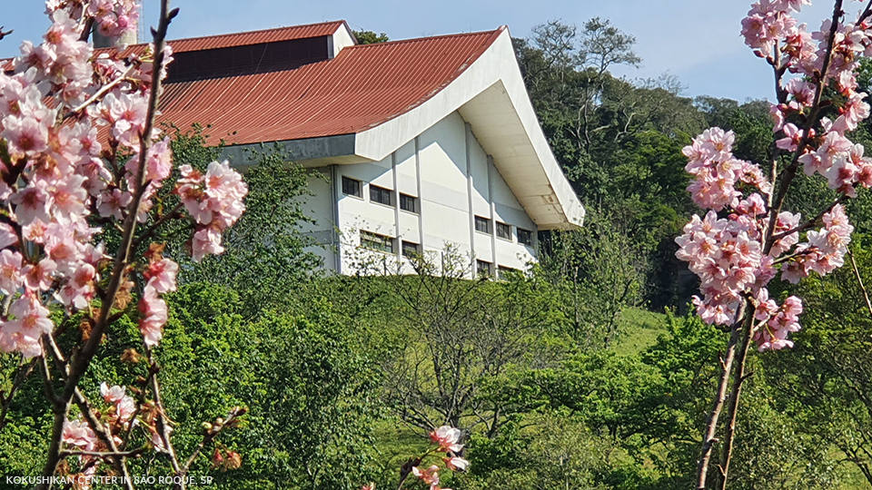 A view of a Japanese white building with branches of blossoming cherry trees