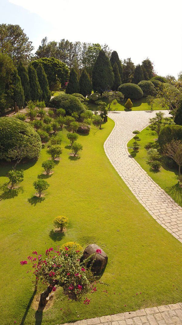 A panoramic view of a stoned pathway and a garden with trees.