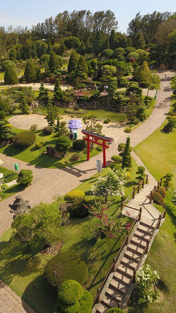 A view from the top of garden stone pathways with a traditional Japanese red arch, with trees on the background.
