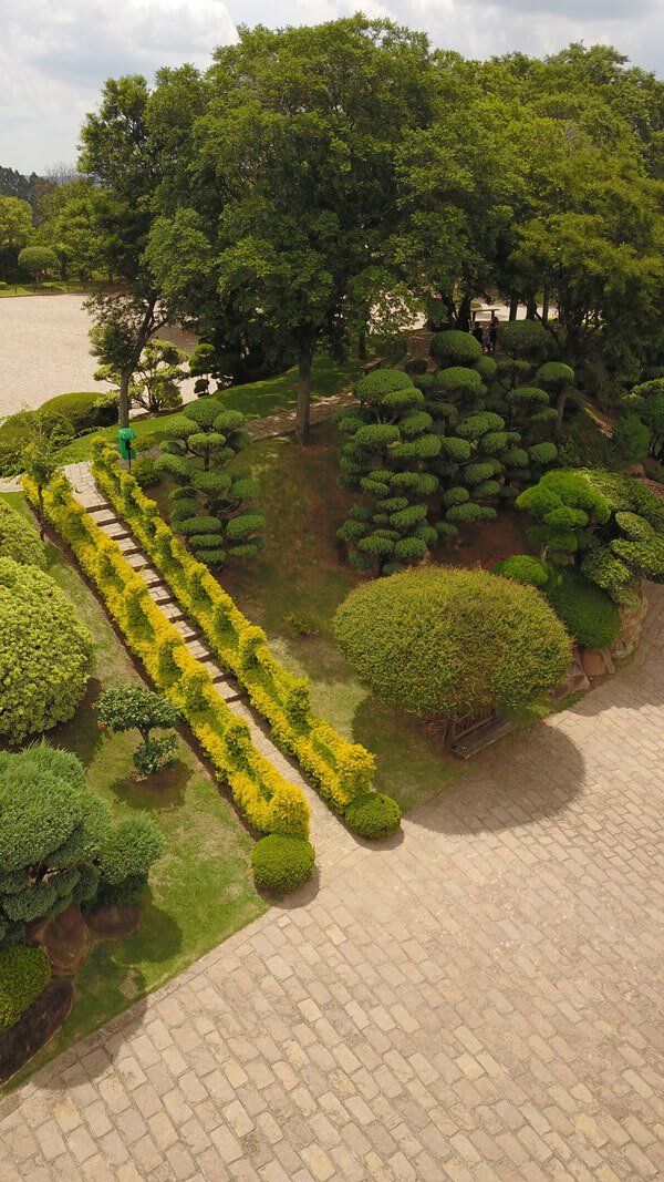 Vista panorâmica de um lance de escadas de pedras, ao fundo um jardim com árvores.
