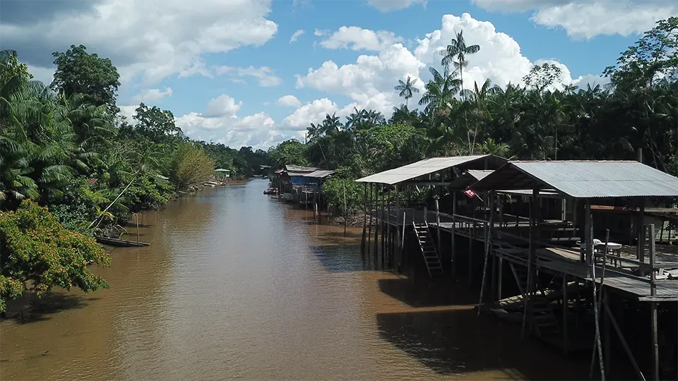 Ilha do Combu