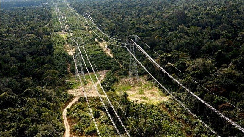 A transmission line tower in the Amazon rainforest