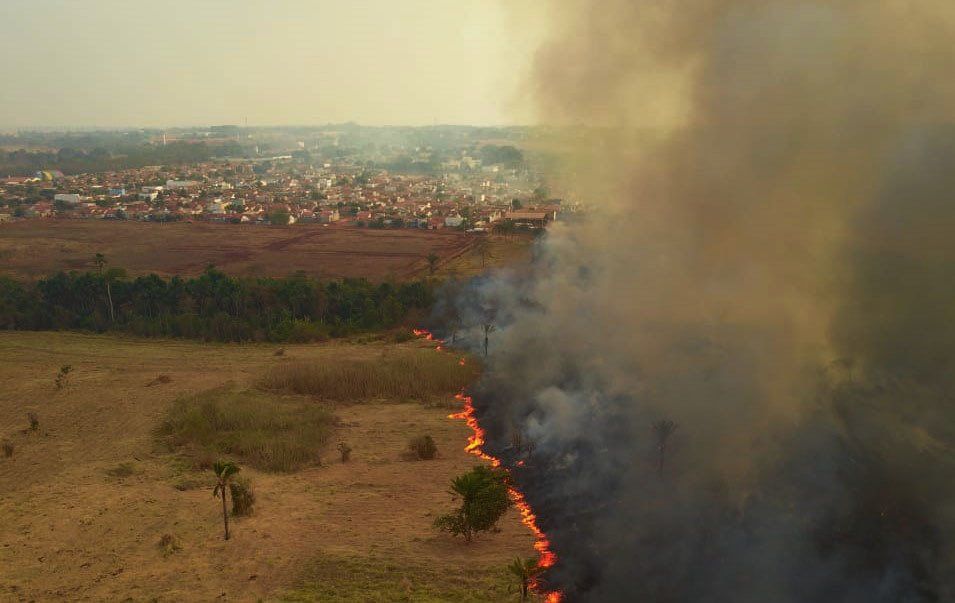 A fire advances at a half burnt field with a cloud of smoke