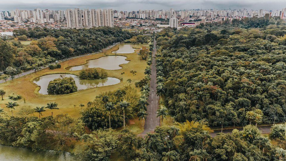 A large park with lakes and trees in São Paulo