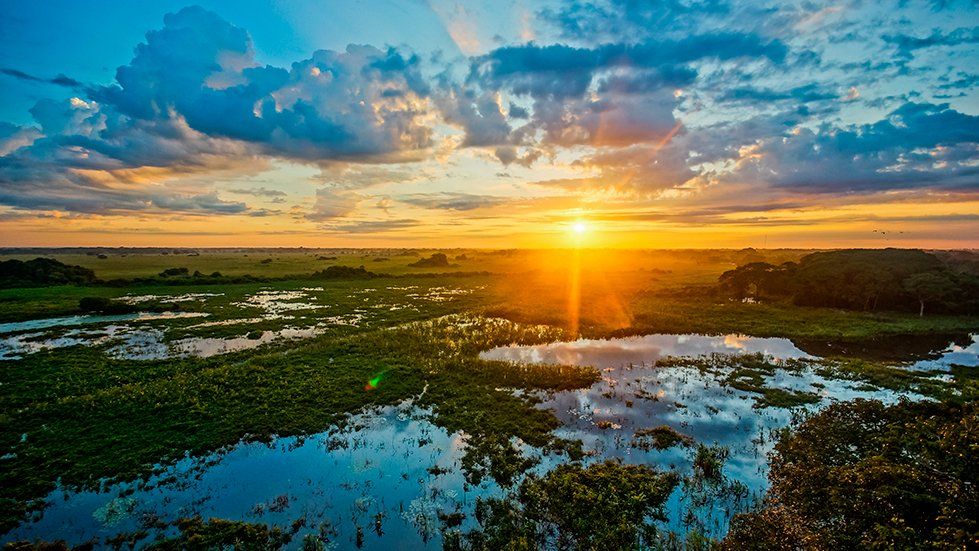 A sunset in the horizon looms over the swamps in Pantanal
