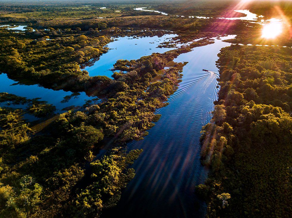An aerial view of the Pantanal with blue water and a green forrest