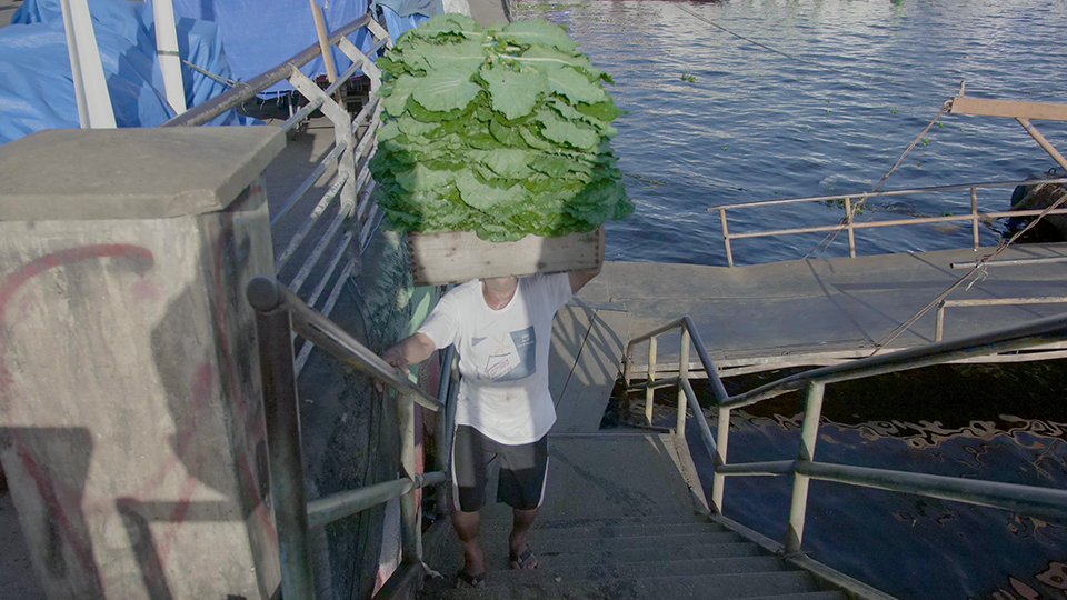 A man carries kale going up a flight of stairs in a harbourr