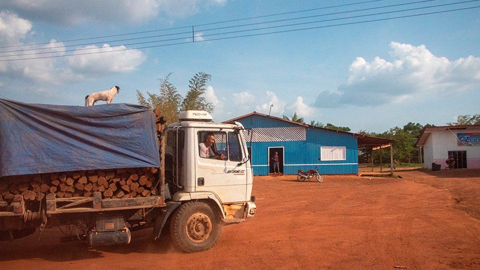 A truck loaded with wood drives off in a dirt road
