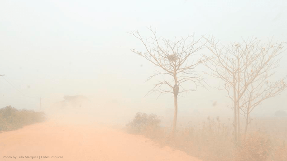 A white smoke hovers over a dirt road with dried trees on the side