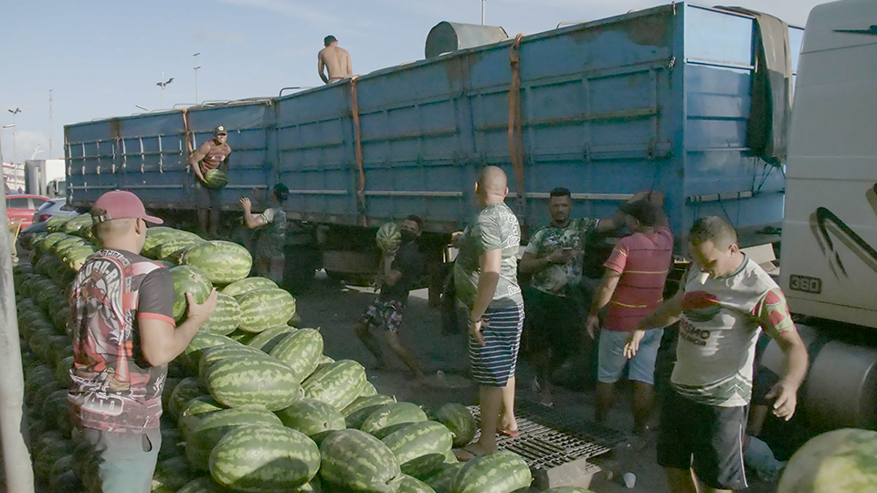Unmasked men manage water melons on the side of a truck